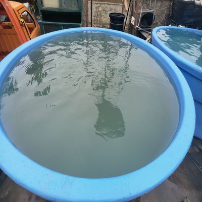 50℃ 온도 적용을 위한 고성능 물 탱크 금형