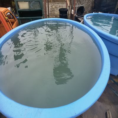 50℃ 온도 적용을 위한 고성능 물 탱크 금형